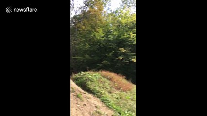 This is probably the most axe-celent throw you've ever seen