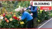 Couple told to remove flowerbeds they planted thirty years ago | SWNS TV