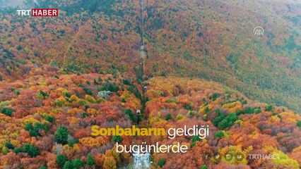 Uludağ'a teleferikle rengarenk sonbahar yolculuğu