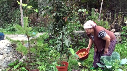 Tepkilere aldırmadı muhtar oldu, yine aday - TOKAT