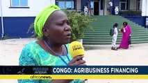 Congo calls for agro-industry financing