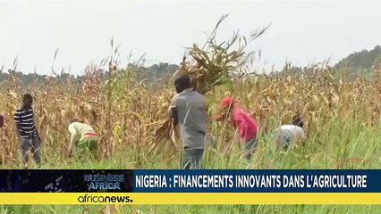 Nigeria : financements innovants dans l'agriculture