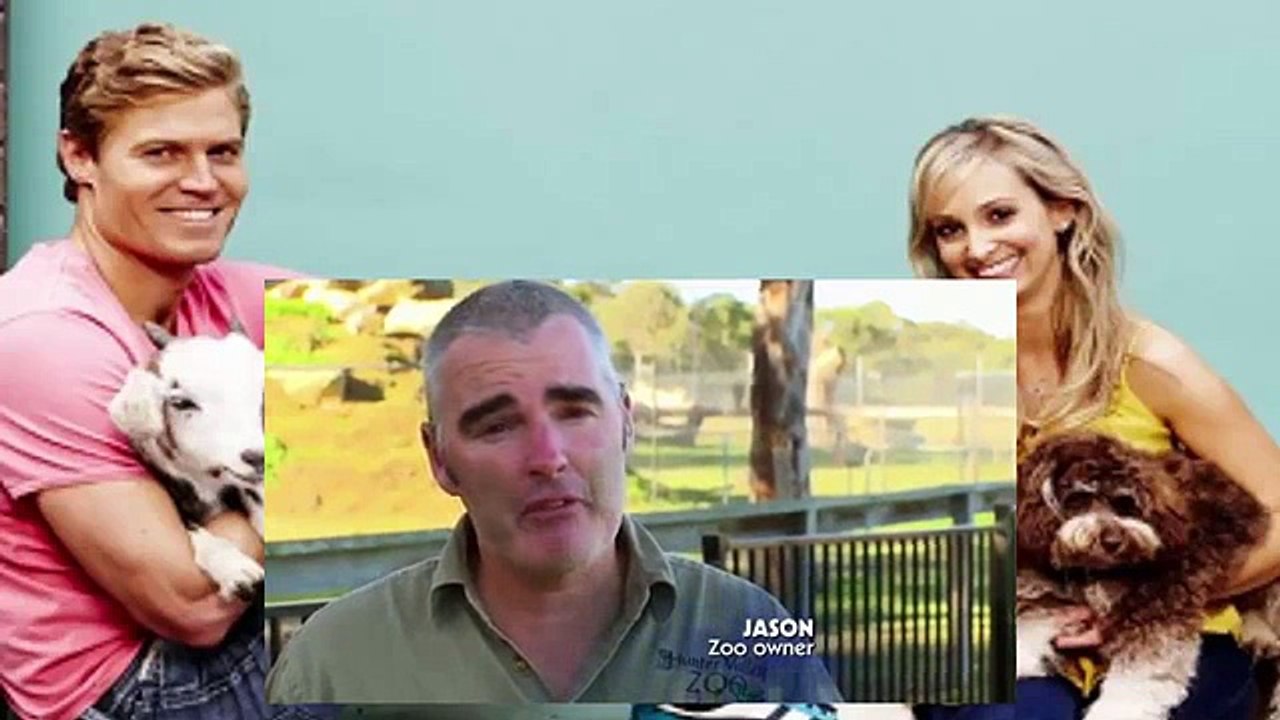 Bondi Vet S06 E14