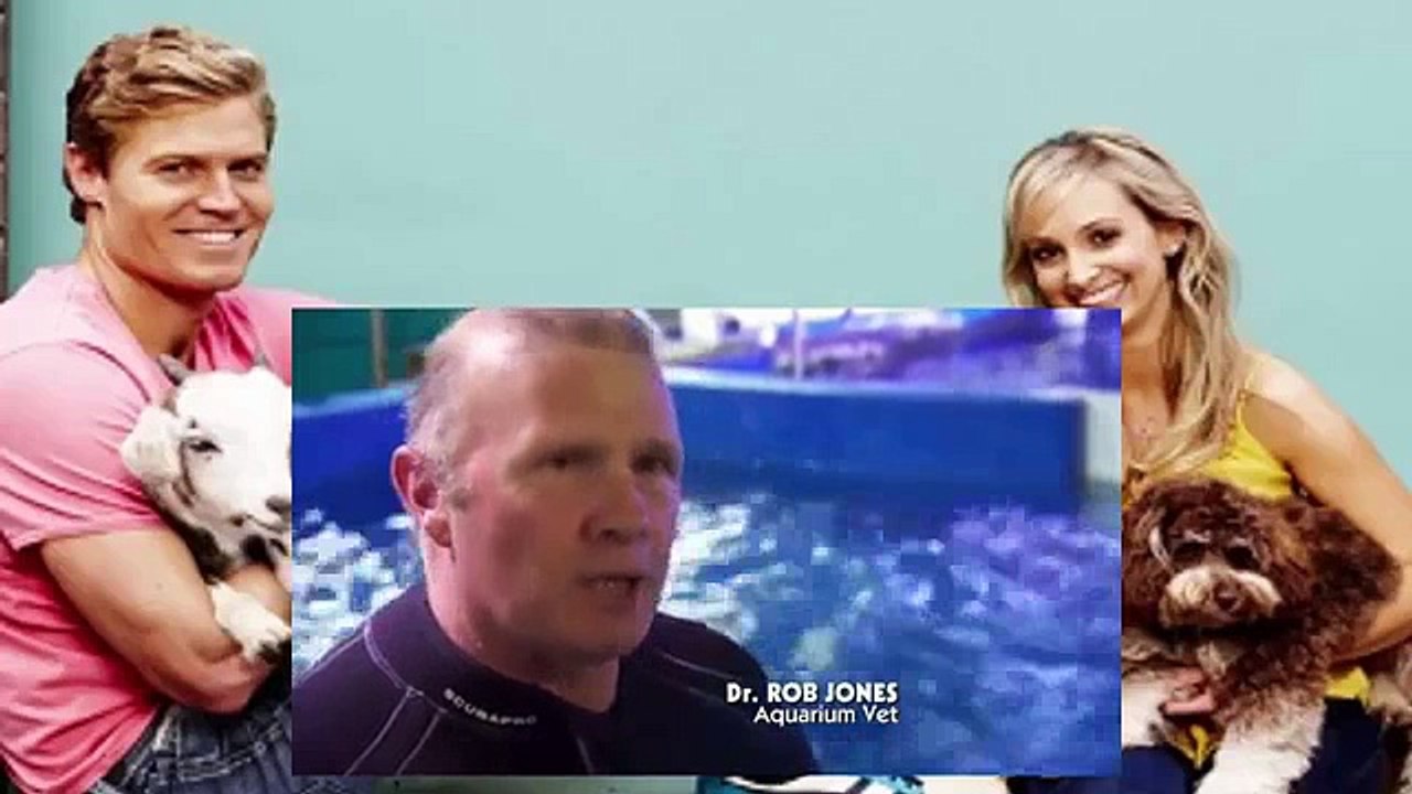 Bondi Vet S06 E16