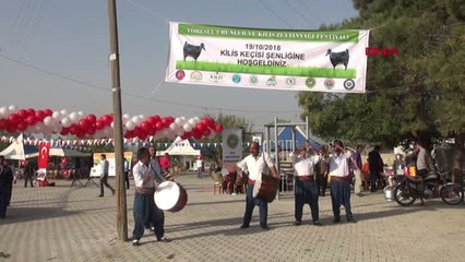 Kilis'te 'Keçi Şenliği'