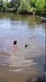 Des alligators s'approchent dangereusement de cet homme dans cette rivière