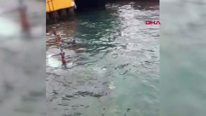 Sarıyer'de Fotoğraf Çektirip Otomobili Denize Attı