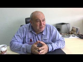 Një fshat në Egjipt “sulmohet” nga milingonat