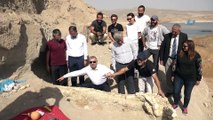 Kayseri'de yapılan arkeolojik kazılarda 7,4 milyon yıllık fil fosili bulundu