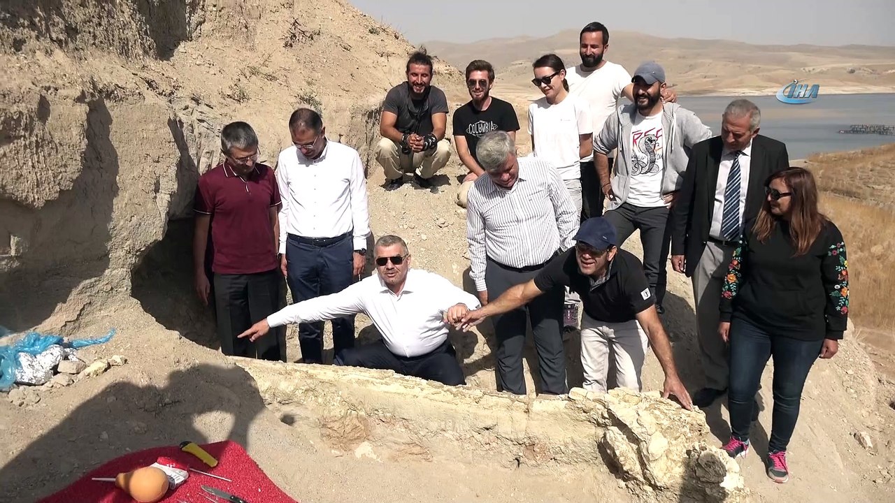 Kayseri'de yapılan arkeolojik kazılarda 7,4 milyon yıllık fil fosili bulundu