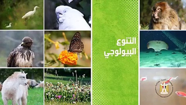 شاهد.. حملات مكثفة للتنويه عن مؤتمر التنوع البيولوجى 1