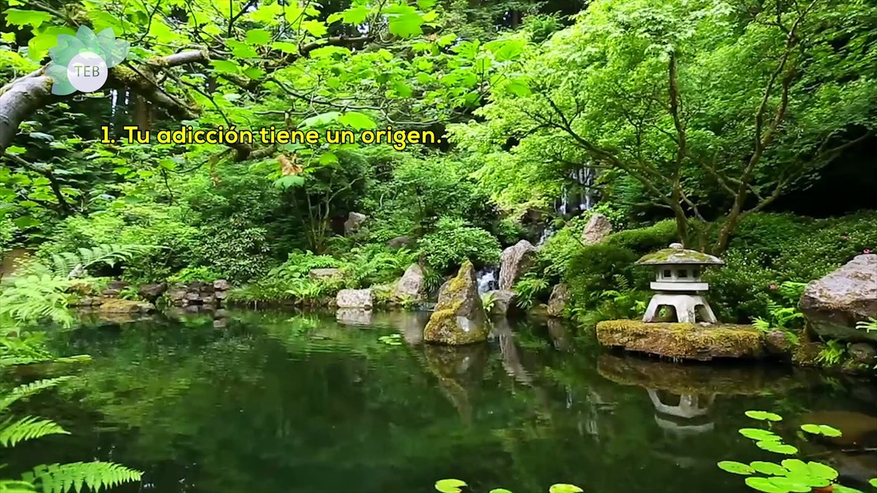 Centro de Terapia Adicciones Agosto 2018