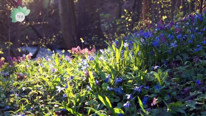 Centro de Terapia Ansiedad Agosto 2018