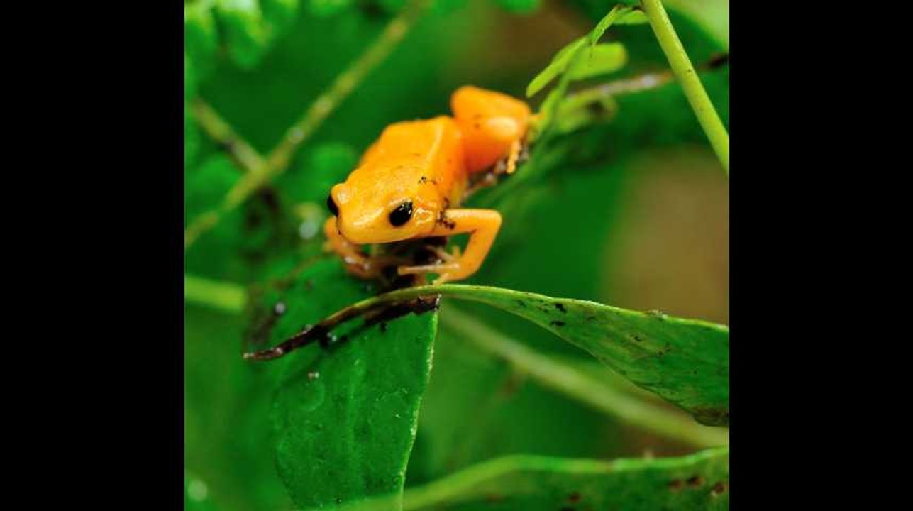 «20 Minutes» réveille ta semaine avec des bons plans sorties pour la semaine du 22 octobre