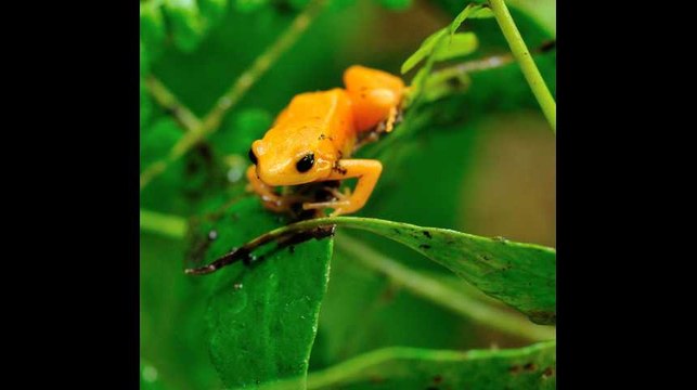 «20 Minutes» réveille ta semaine avec des bons plans sorties pour la semaine du 22 octobre