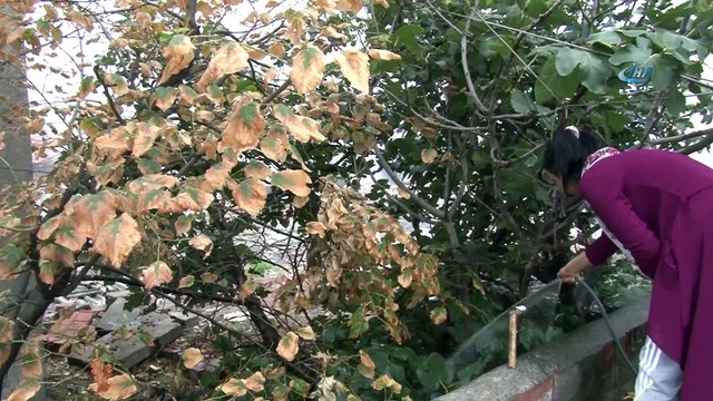 Metruk binada çıkan yangına vatandaş hortumla müdahale etti