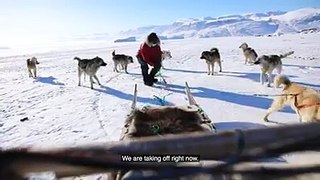 Nothing beats the thrill of gliding across an endless icy landscape propelled only by the paws of local husky dogs. But dogsledding can be challenging (even for