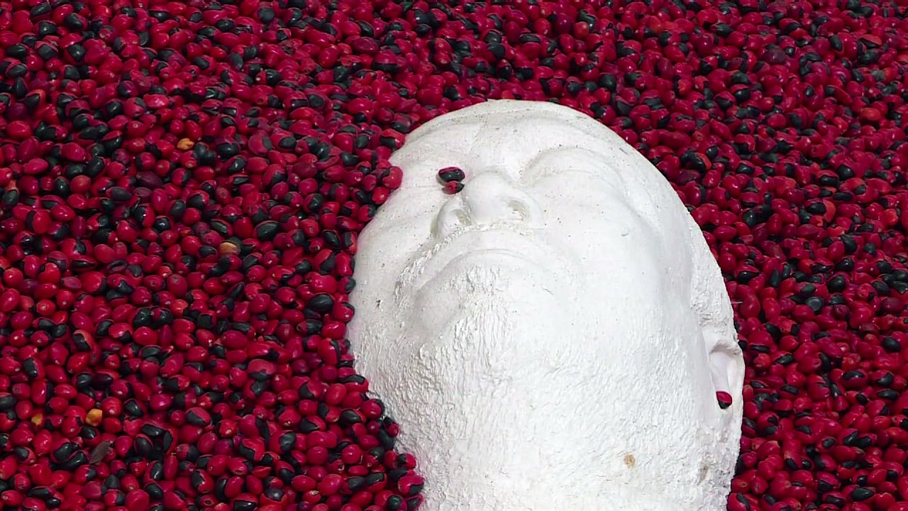 O Brasil em exposição