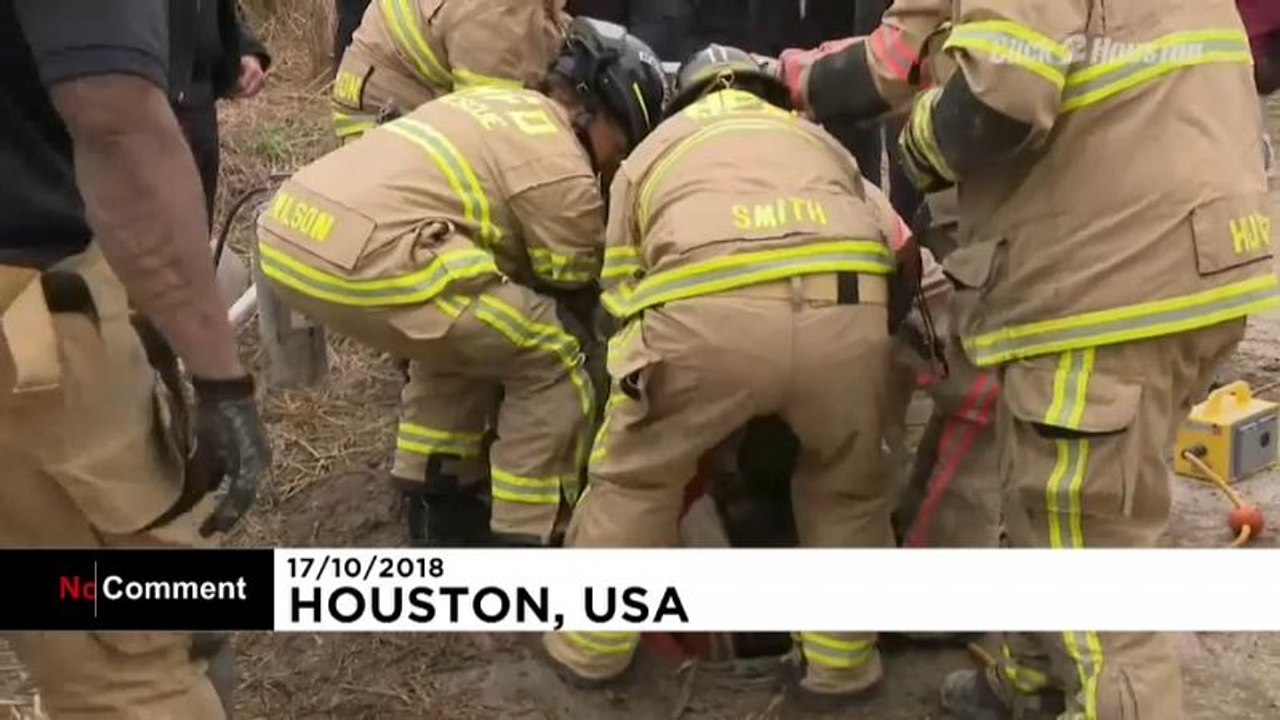 Problem in Houston: Pony steckt fest