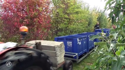 Une année rare pour les pommes - 19/10/2018