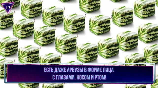 20 Фактов, Доказывающих, что Япония Пришла из Будущего