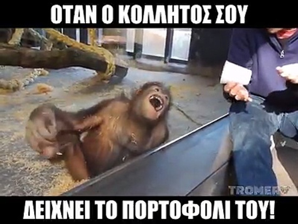 Μέχρι να έρθει η ανάπτυξη...Ταγκ τους συμπάσχοντες...