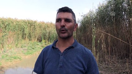 'Eber Gölü'nde su yok değil, su var' - AFYONKARAHİSAR