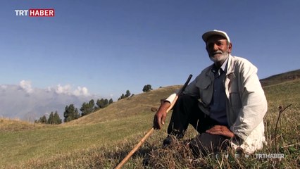 Hac parasını çobanlık yaparak biriktiriyor