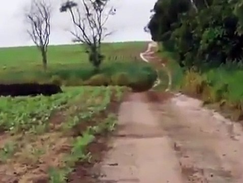 Essayez de compter les sangliers qui passent... Au moins 50 !!!