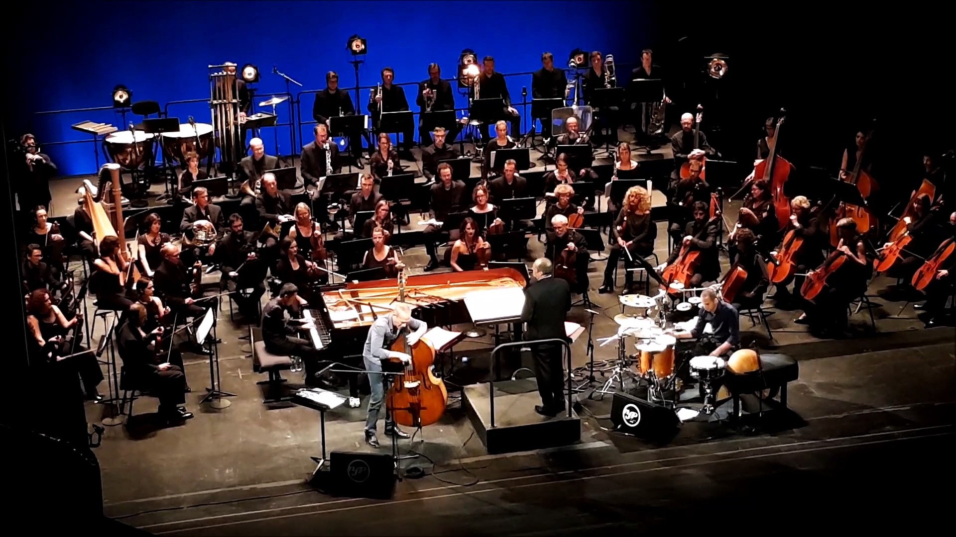 Avishai Cohen en osmose avec sa contrebasse et l'Orchestre symphonique et  lyrique de Nancy - Vidéo Dailymotion