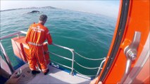 SNSM Cap d'Agde: Une baleine de plusieurs tonnes échoué au port du Cap d'Agde
