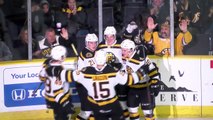 AHL Bridgeport Sound Tigers 2 at Providence Bruins 5