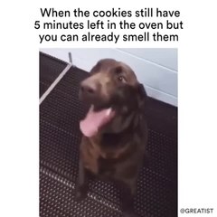 When the cookies still have 5 minutes left in the oven but you can already smell them