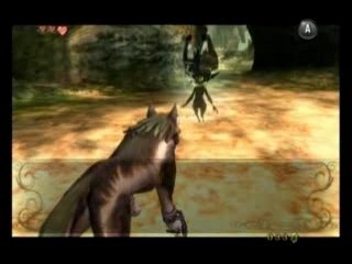 Zelda Twilight Princess speed run partie 12