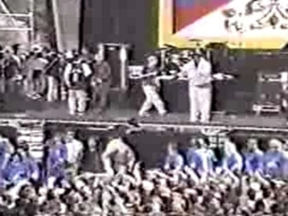 Beastie Boys - Do It (Live @ Tibetan freedom '96)