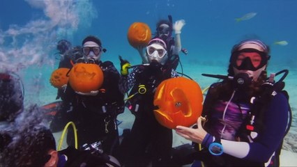 Scuba Divers Take A Halloween Tradition Underwater