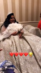 شيماء سيف تطلق زغرودة قبل انطلاق حفل زفافها