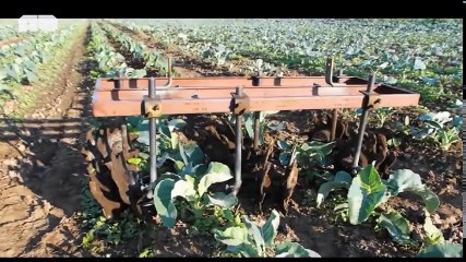 Amazing Homemade Inventions 2016 #16 - Dog Run Machines