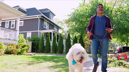 Dogs Might Understand Human Words Better Than We Thought