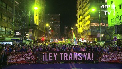 Congreso uruguayo aprueba ley de equidad para personas trans