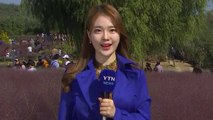 [날씨] 주말 쾌청한 가을...큰 일교차 주의 / YTN