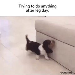 Trying to do anything after leg day: