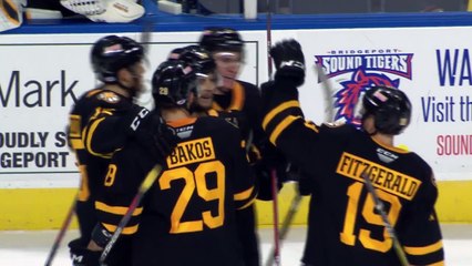 Sound Tigers 4 Providence 3 OT