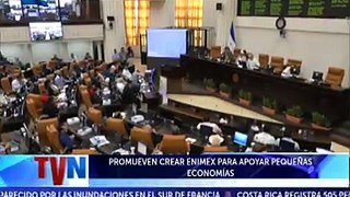 Una ampliación del trabajo de la Empresa Nicaragüense de Importaciones (ENIMPORT), es lo que haría la Empresa Nicaragüense de Importaciones y Exportaciones (ENI