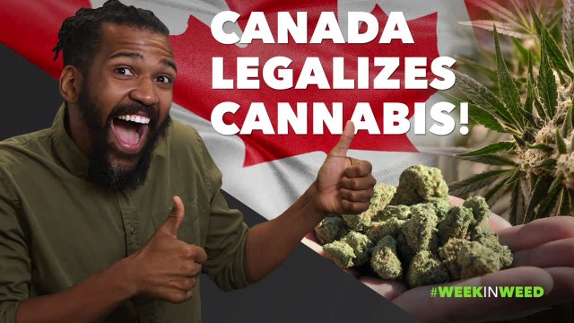 This Week in Weed: Canada Legalizes Cannabis!