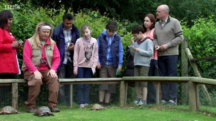 Sue Keeper gets all her tortoise facts wrong