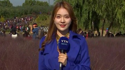 [날씨] 오늘 쾌청한 가을...내일 수도권 미세먼지 / YTN