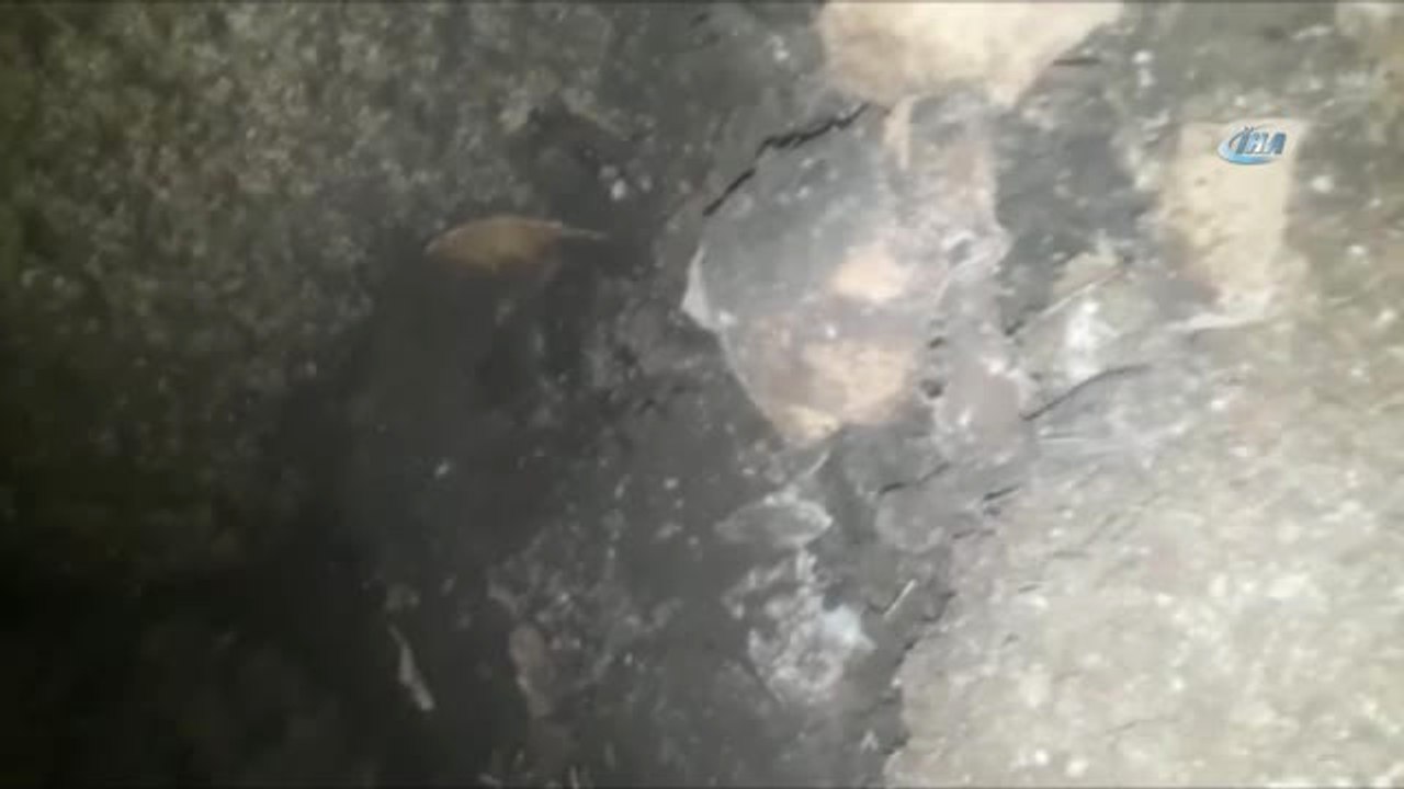 Bahçelievler'de Altyapı Kazısı Sırasında Çocuk Kafatası Bulundu