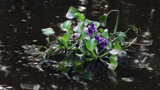 Marvel's Cloak and Dagger Season 1 EP06 Sneak Peek Funhouse Mirrors (2018)