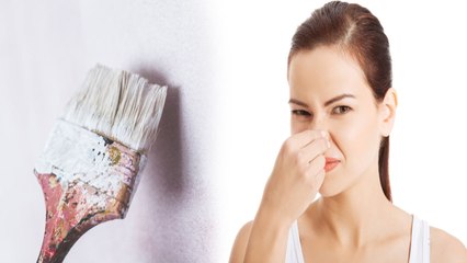 Paint Smell in House: Home Remedies | घर से पेंट की स्‍मेल दूर करने के लिए स्‍मार्ट टिप्‍स | Boldsky